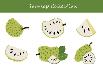 soursop collection in different poses. Vector illustration.