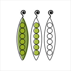 icons, vegetables. cabbage. linear art. healthy food