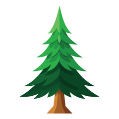 Vector Simple green illustration of a spruce tree. 