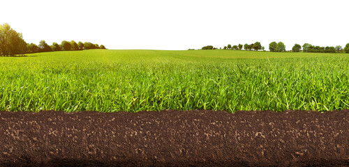 Meadow Panorama with soil and roots - Gound View PNG Background