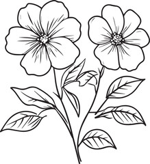 Obraz premium Floral flower outline vector art on a white background, Black outline drawing of floral flowers. 