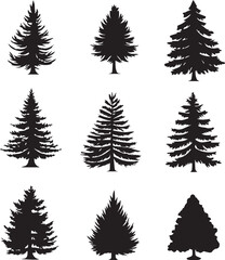 Fototapeta premium Black silhouettes of a pine tree, Evergreen trees, black and white cliparts