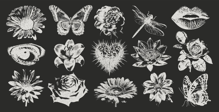 Set of elements Heart, eye, Rose, daisy, butterfly in retro photocopy style. The effect of vintage grunge on romantic details. Vector.