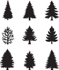 Fototapeta premium Black silhouettes of a pine tree, Evergreen trees, black and white cliparts