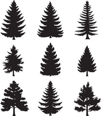 Obraz premium Black silhouettes of a pine tree, Evergreen trees, black and white cliparts