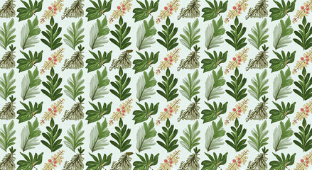 Fototapeta premium field of tulips