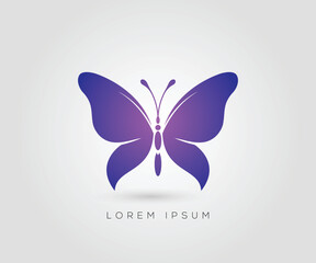 Butterfly logo purple colorful illustration