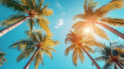 the Asian vegan stir-fry with tofu, rice noodles, and vegetables, presented from a top-down view.