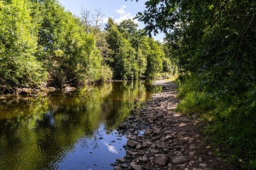 Fototapeta premium Scenery around drumnadrochit on loch ness