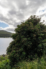 Fort william in the SCottish Highlands