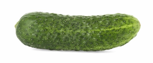 One whole fresh cucumber isolated on white