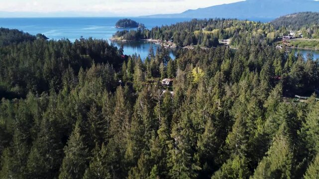 Pan up from a dense forest to show and expansive ocean and island mountain in the distance