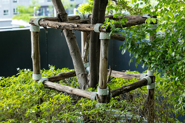 Close-Up of Lush Green Tree Leaves Outdoors