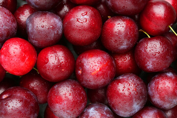 Many fresh plums with water drops as background, top view