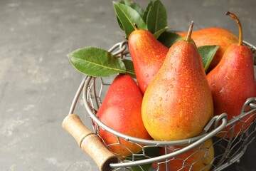 Ripe juicy pears in metal basket on grey table, closeup