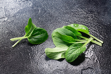 Baby bok choy leaves atop wet dark background, top view, copy space