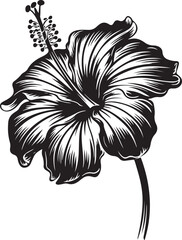 Black and white sketch of flower vector image