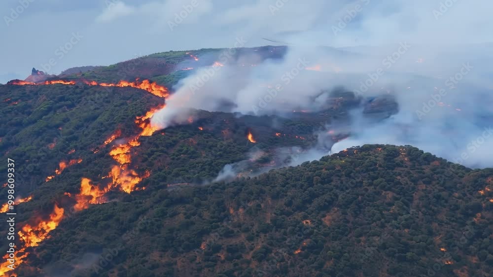 Poster devastating wildfire engulfs a dense forest, spreading rapidly with intense flames and billowing smo
