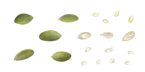 Peeled pumpkin and sunflower, sesame seeds with salt grains watercolor illustration set. Organic plant grains as food ingredient for cooking decor, recipe design. Healthy diet food concept. Top view