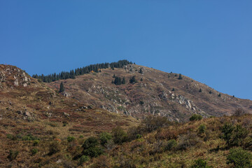 landscape in the mountains