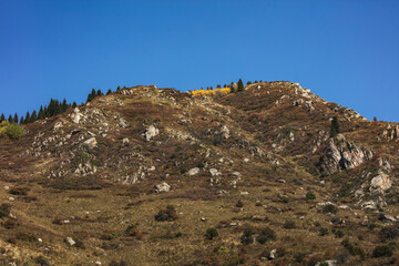 landscape in the mountains