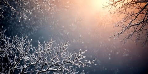 Snow-covered branches tree against a blurred, hazy background, with a warm glow from the sun peeking through the clouds