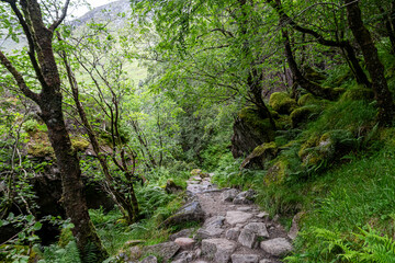 Scenery in Glen nevis scotland