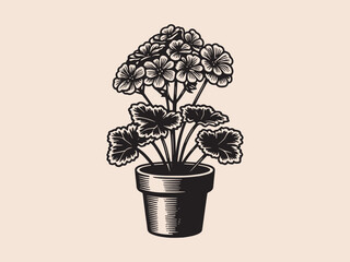 Geranium in a pot. Vintage engraving illustration, emblem, logo, sketch, print