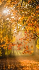 Fototapeta premium autumn in the park