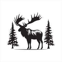 silhouette of a deer