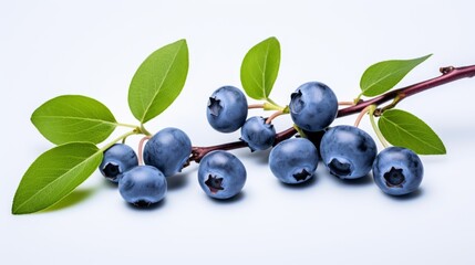 Ripe berries in the wooden bowl over green grass.