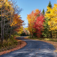 Fototapeta premium Serene scene of a winding road lined with trees displaying their autumn foliage in shades of gold, red, and yellow under a clear blue sky.