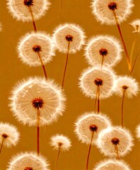 Obraz premium Dandelion Wallpaper