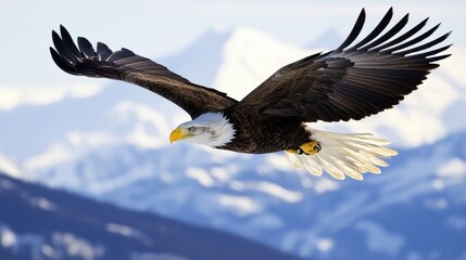 Fototapeta premium A majestic eagle soaring high in the sky with wings fully extended, mountains visible far below