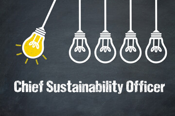 Fototapeta premium Chief Sustainability Officer 