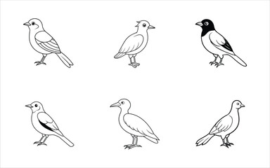 Black and white Bird  line art vector set on white background