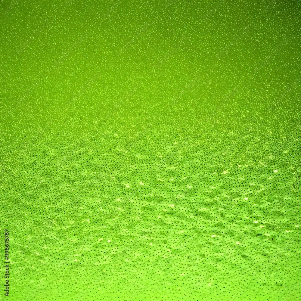 Fototapete a close-up view green, textured surface with small, irregularly shaped dots or specks scattered acro