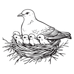 Elegant Bird with Baby Chicks in Nest Silhouette Vector Illustration, Mother bird feeding babies vector line art