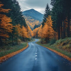 Winding Mountain Road Through Vibrant Autumn Forests