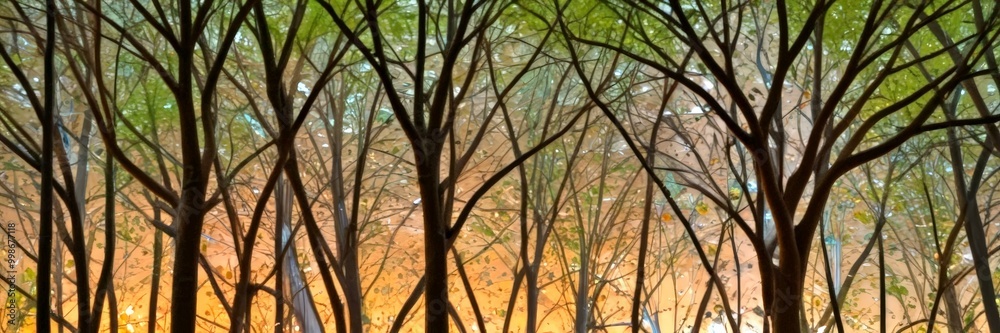 Fototapete a dense forest with tall, thin trees in various shades of green and brown, creating a sense of depth