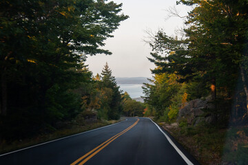 road in the forest