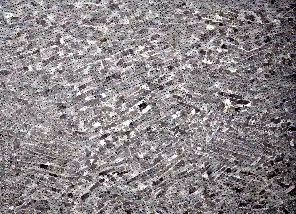 Poster a close-up view textured gray surface, possibly a stone or concrete wall, with a pattern of small, i