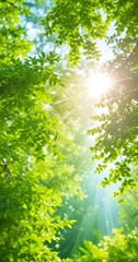 Sunlight filters through the lush green leaves tree, casting a warm glow and creating a serene and tranquil atmosphere