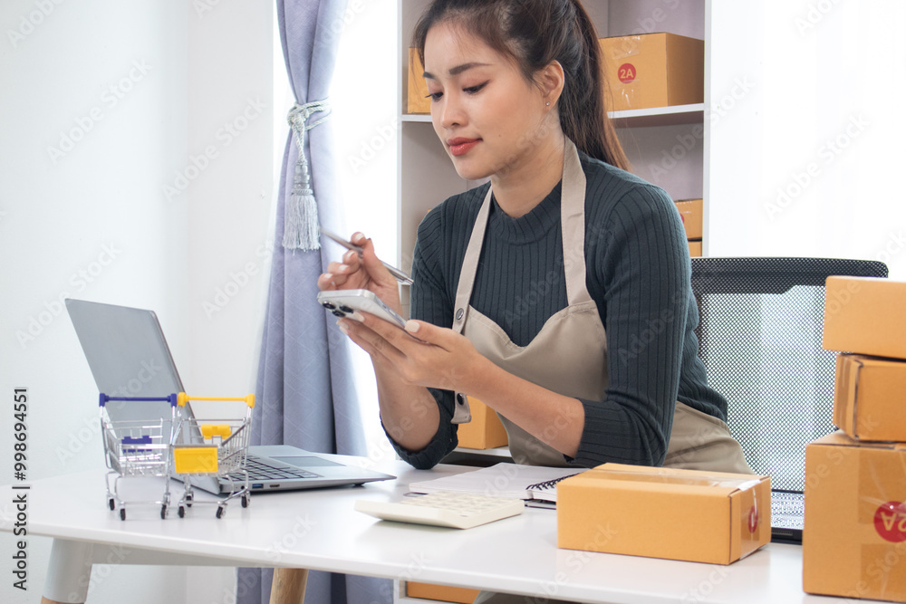 Wall mural woman working on laptop