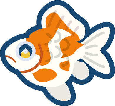 かわいい金魚（玉サバ）のイラスト