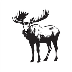 deer silhouette vector illustration, 