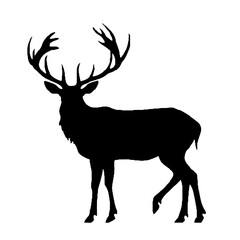 engrave deer Silhouette illustration