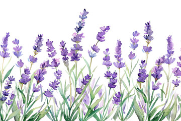 Naklejka premium PNG Lavender watercolor floral illustration