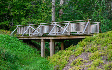 Wooden bridge in park