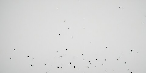 a white background with scattered black dots, resembling a pattern or design